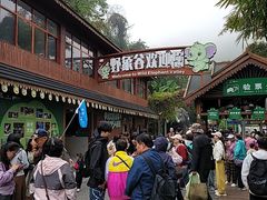 -野象谷景区