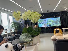 -马泷齿科·成都锦江置略马泷口腔门诊部(IFS国金中心店)