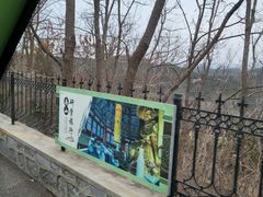 -龙口南山旅游景区