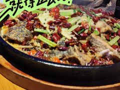 -老板恋上鱼(恒隆广场店)