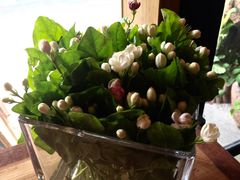 -西关84·History·Art·Cafe