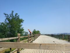 -汉长安城未央宫国家考古遗址公园