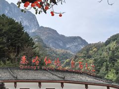 -秦岭天竺山生态文化旅游景区