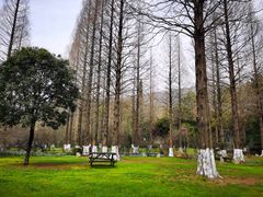 -宝岩生态观光园