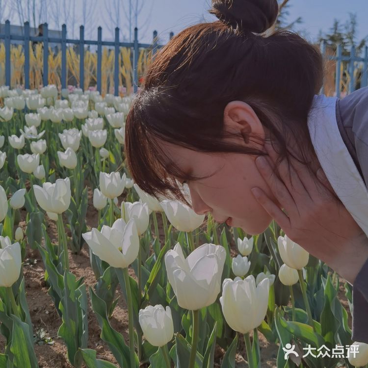 烟台郁金香🌷:和阿姨们抢夺最美拍照机位
