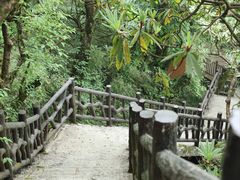 -瓦屋山景区