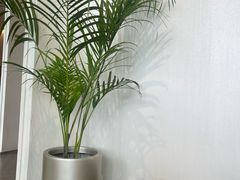 -YCHL FIT 健身(星寰店)