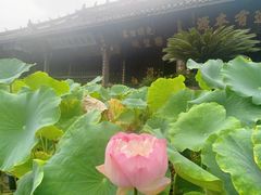 -宝光寺