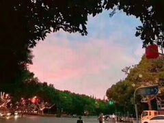 -北京东方普罗旺斯薰衣草庄园