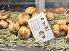 -滇野云南野生菌餐厅(陕西南路店)