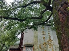 -上坦村