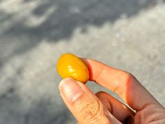 -高记福桂桂花糖炒栗(鼓楼店)