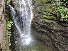 -牛背梁国家森林公园