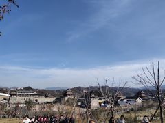 -白鹿原影视城