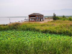 -哈素海