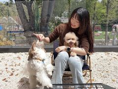 -J Create城市露营咖啡·简餐·宠物(上海动物园店)