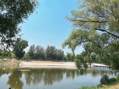 -东郊湿地公园