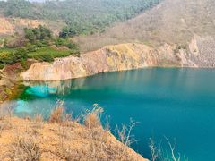 -树山生态村
