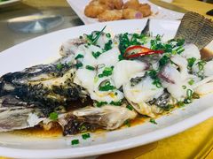 -鸽王世家(东华东路店)