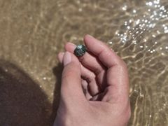 -仰口沙滩