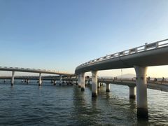 -演武大桥观景平台