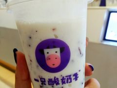 -一只酸奶牛(八一路店)