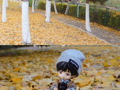 -长白岛森林公园