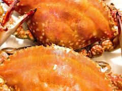 -北塘海鲜·天津菜(大光明桥旗舰店)