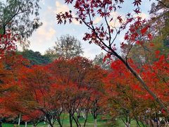 -岳麓山风景名胜区
