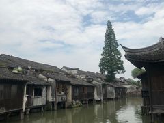 -乌镇东栅景区