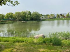 -贡湖湾湿地公园