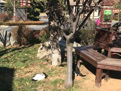 -金石唐风国际温泉会馆