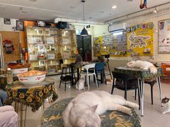 -平行世界·猫咖(首经贸店)
