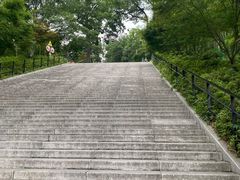 -上海佘山国家森林公园西佘山园