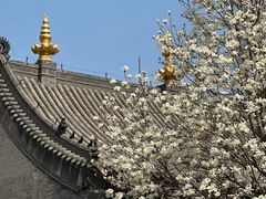 -护国法轮寺