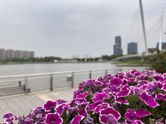 -翠山·映月湖景餐厅(映月湖公园店)
