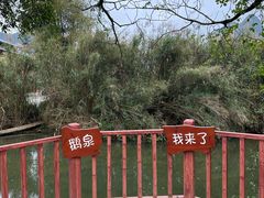-靖西鹅泉风景区