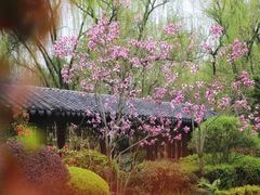 -杭州西子湖四季酒店-WL BISTRO西湖餐厅(灵隐路店)