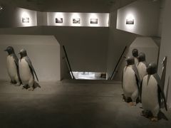 -上海油画雕塑院