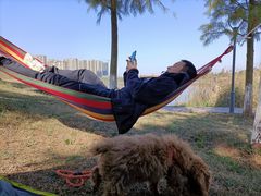 -伟伟宠物医院·CT影像中心·瑞派犬猫综合性门诊(汉口总院)