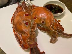-东华假日酒店自助餐