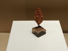 -苏州丝绸博物馆