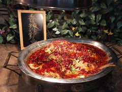 -齐河孔雀王温泉酒店·金孔雀自助百汇