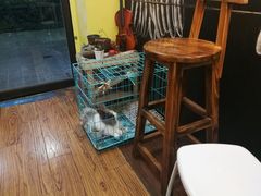 -志龙皇冠吃货椰子铺