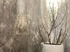 -0907餐厅(核桃园店)