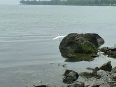 -阳澄湖半岛旅游度假区