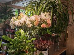 -春暖花开(西溪店)