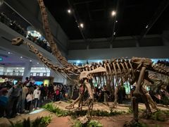 -自贡恐龙博物馆