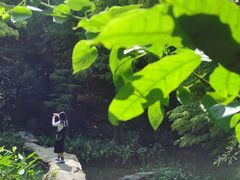 -云溪植物园