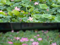 -英西峰林·洞天仙境